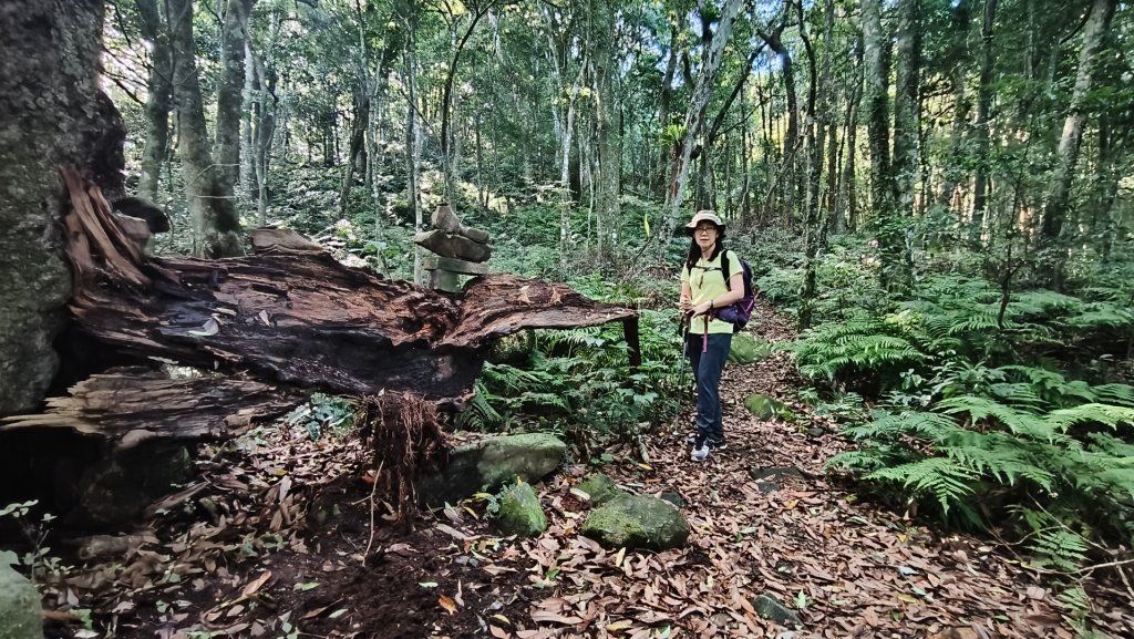 大混李棟山_2816332