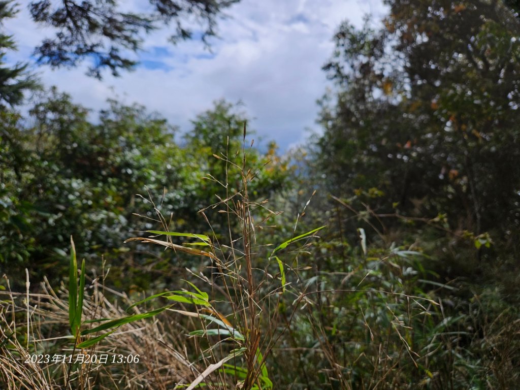 復興三尖之夫婦山_2356637