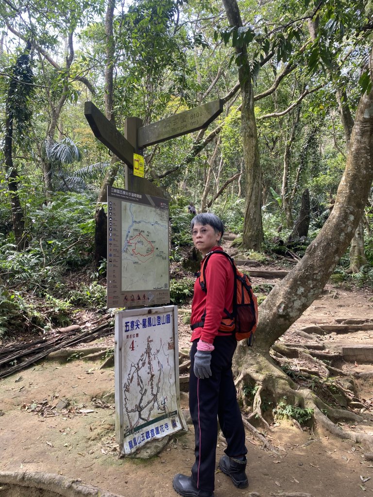 三峽五寮尖山_2764263