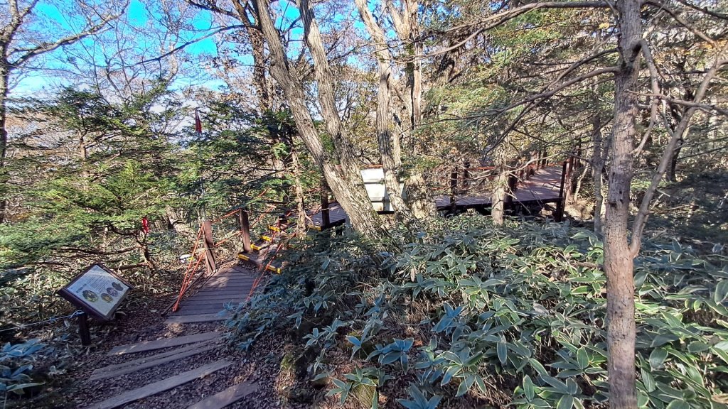 濟州島漢拏山-御里牧路線下_2942727