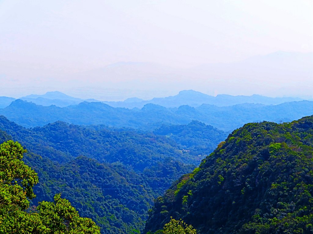 跟著花開去旅行：碧山巖櫻花及大溝溪花海_870182