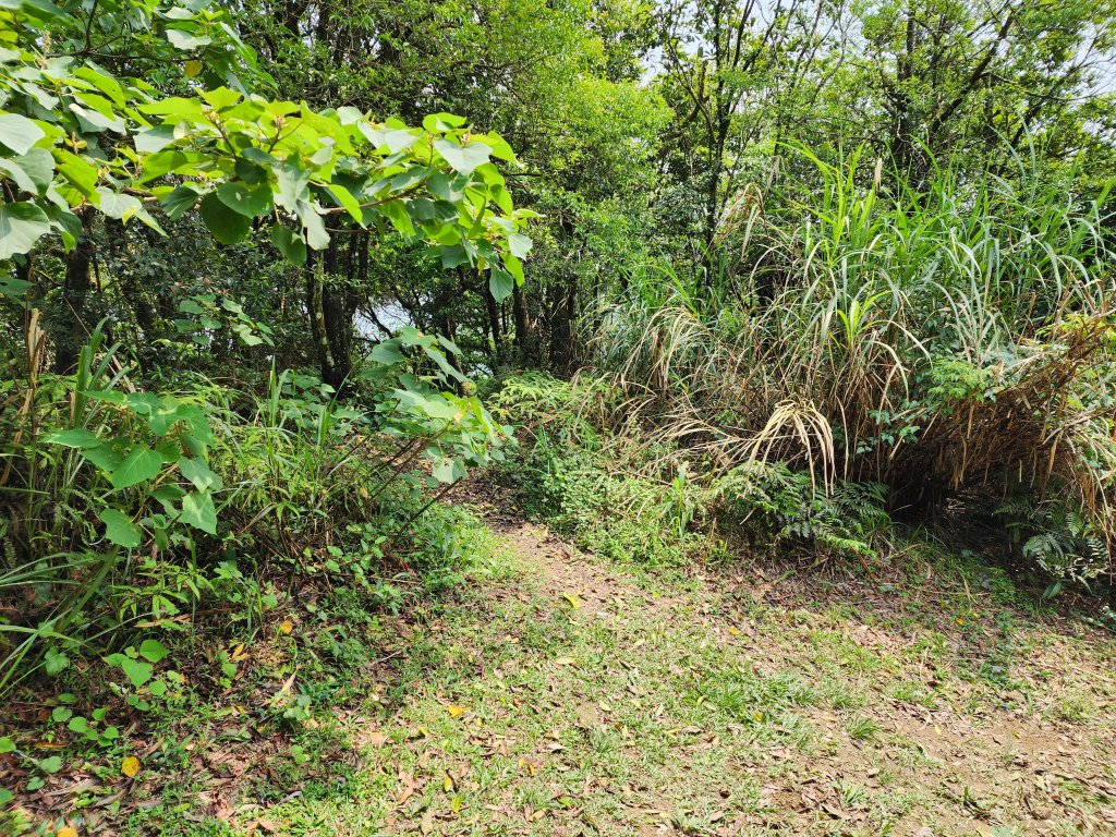 20230423鹿母潭山、獅仔頭山、大丘田山、粽串尖山_2239669