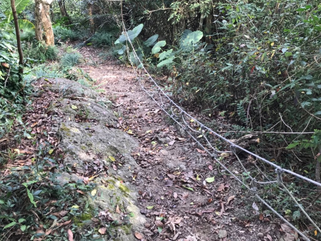 烏山步道走刣牛湖山_468640