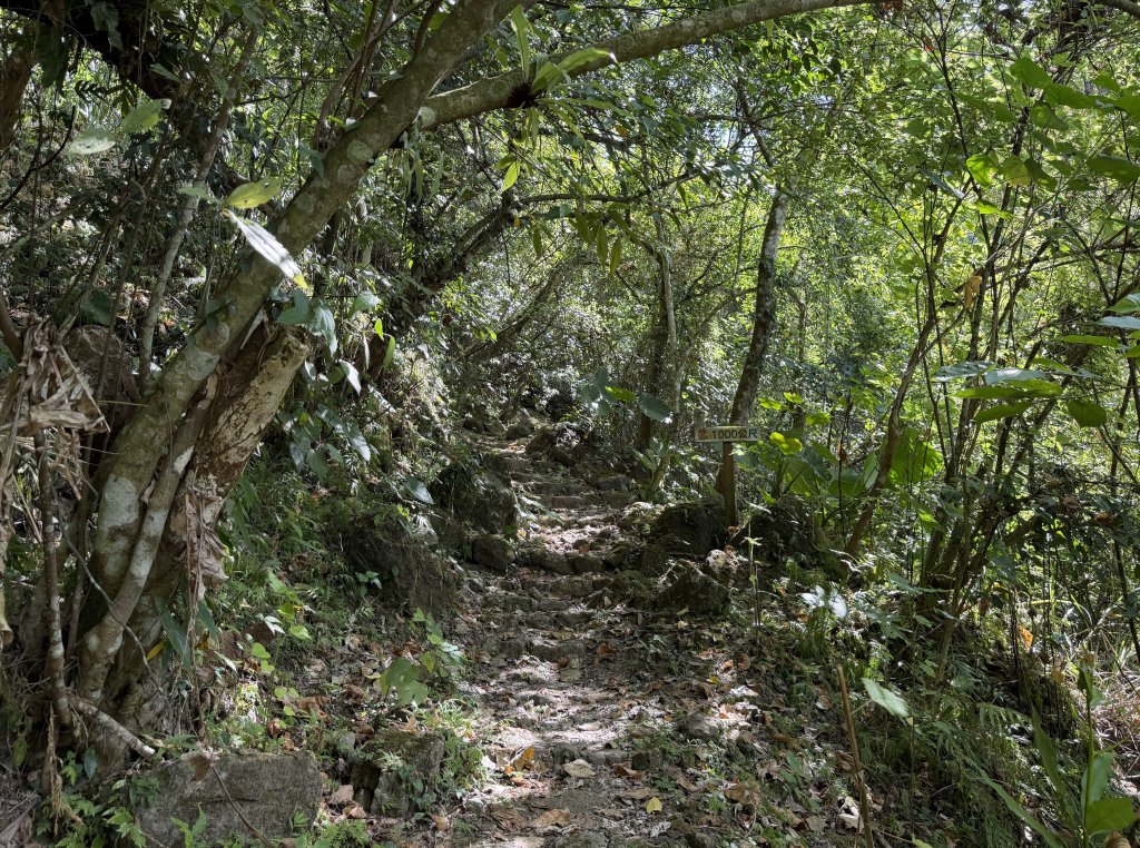 [漫遊縱谷 愛在花東] 2025_1018 米棧古道(第二回)_2921198