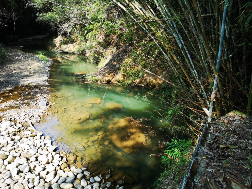 南投魚池澀水森林步道_1631405