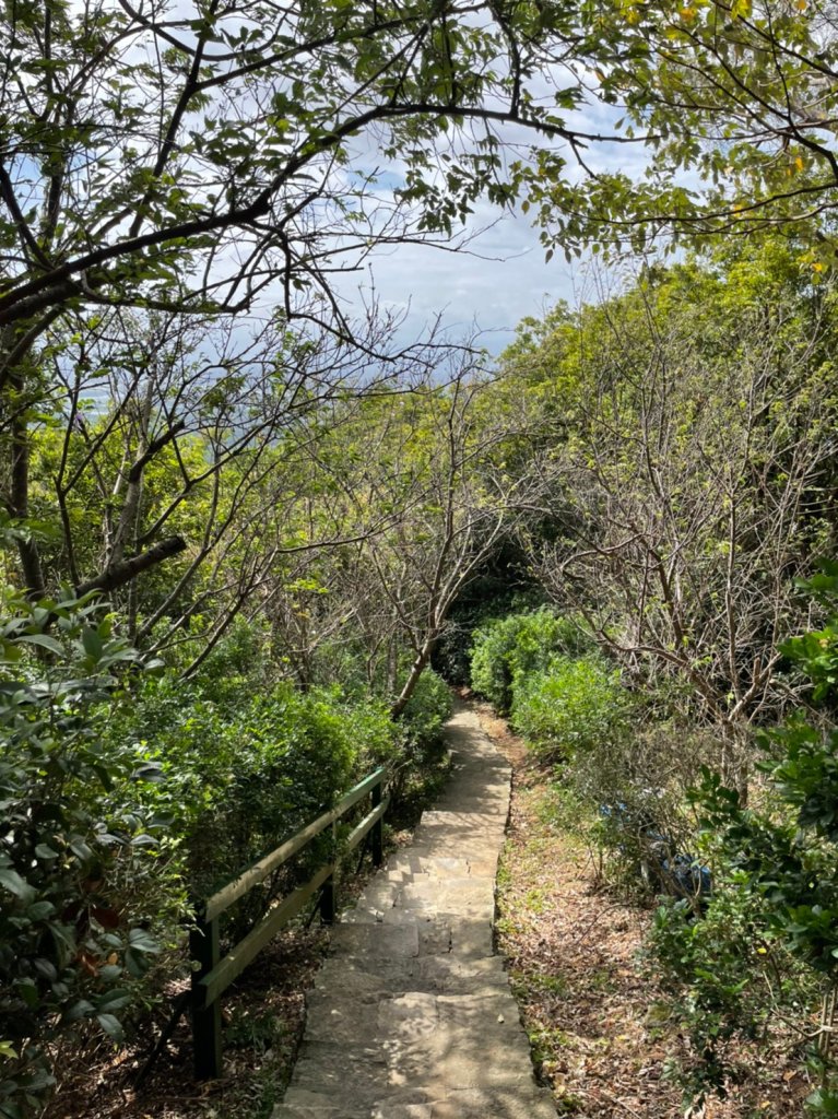 貴子坑親山步道&忠義山親山步道_1487087