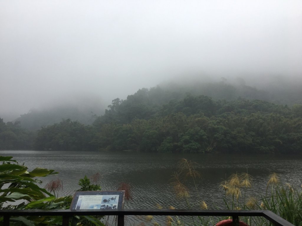 頭寮山o(慈湖、秘密花園咖啡☕️_2649105