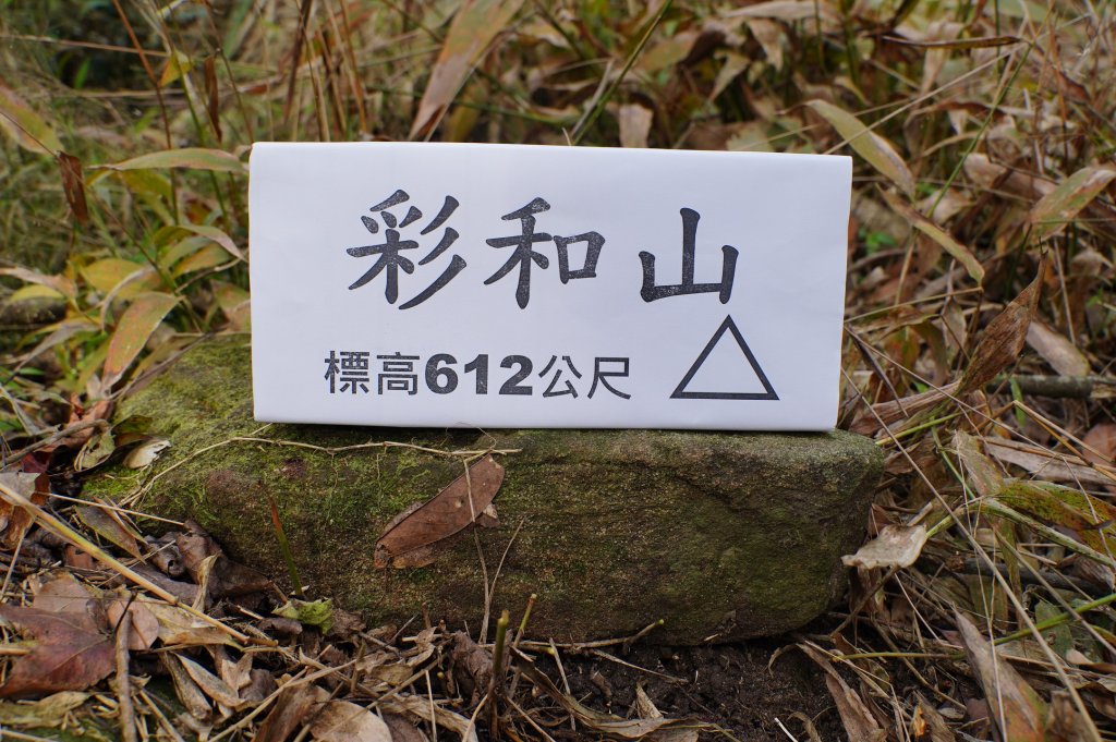 新竹 關西 福大山、彩和山、高甫山_2988291