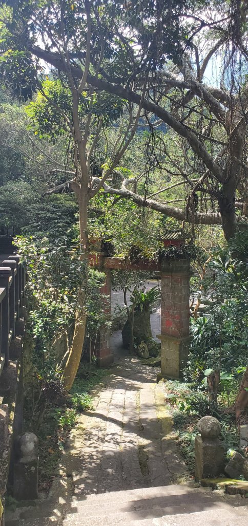 2024-06-15觀音山【福隆山、尖山(占山)登山步道】O走_2528178