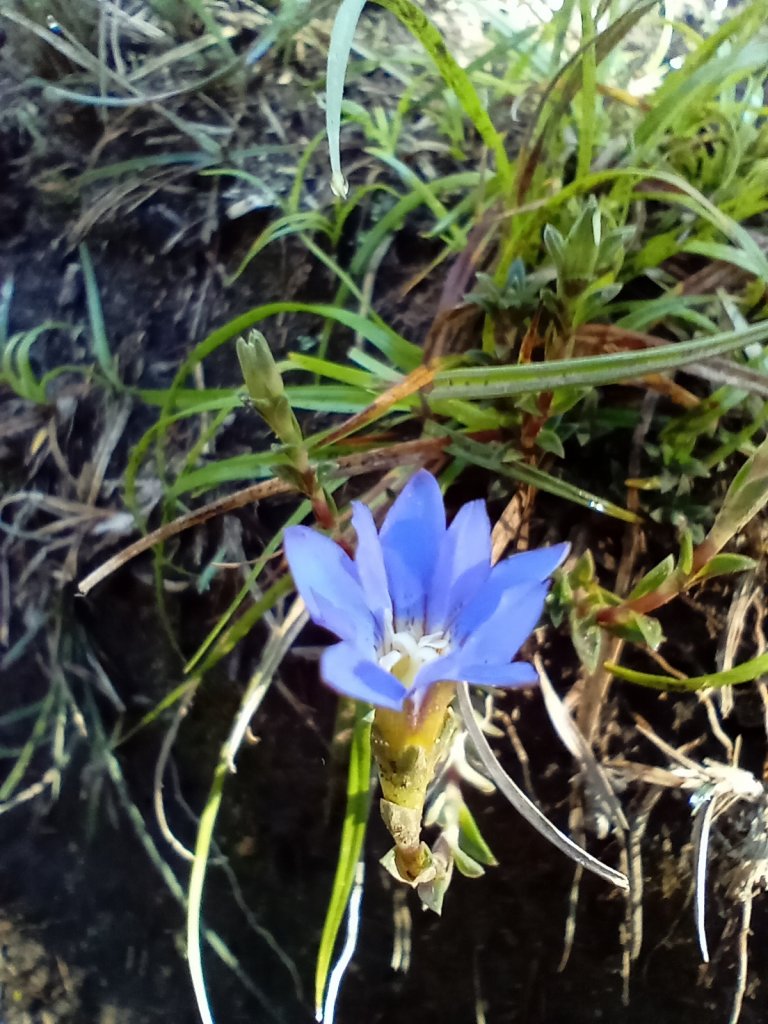 探索池有名樹之美_1744419