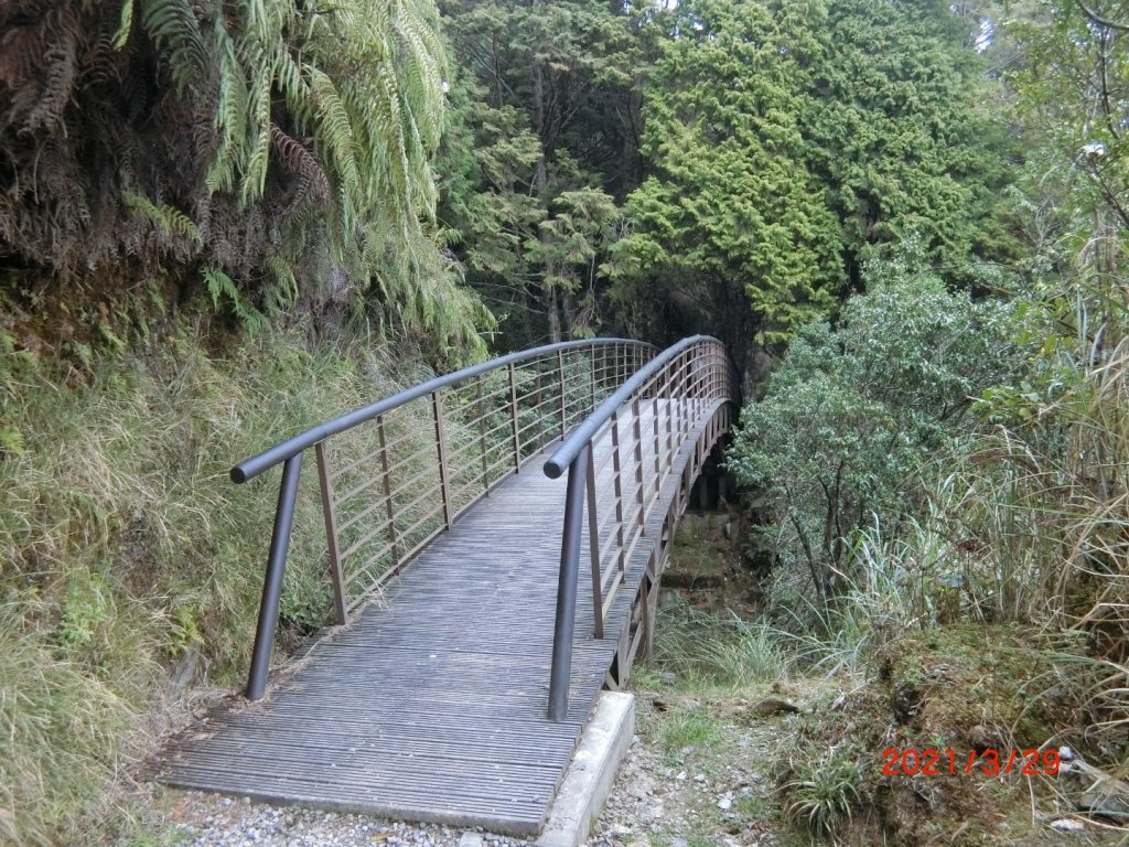 翠峰湖環山步道_1557912