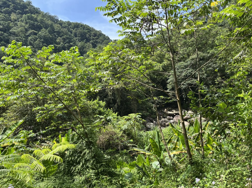 2025_0713 松羅步道_2836703