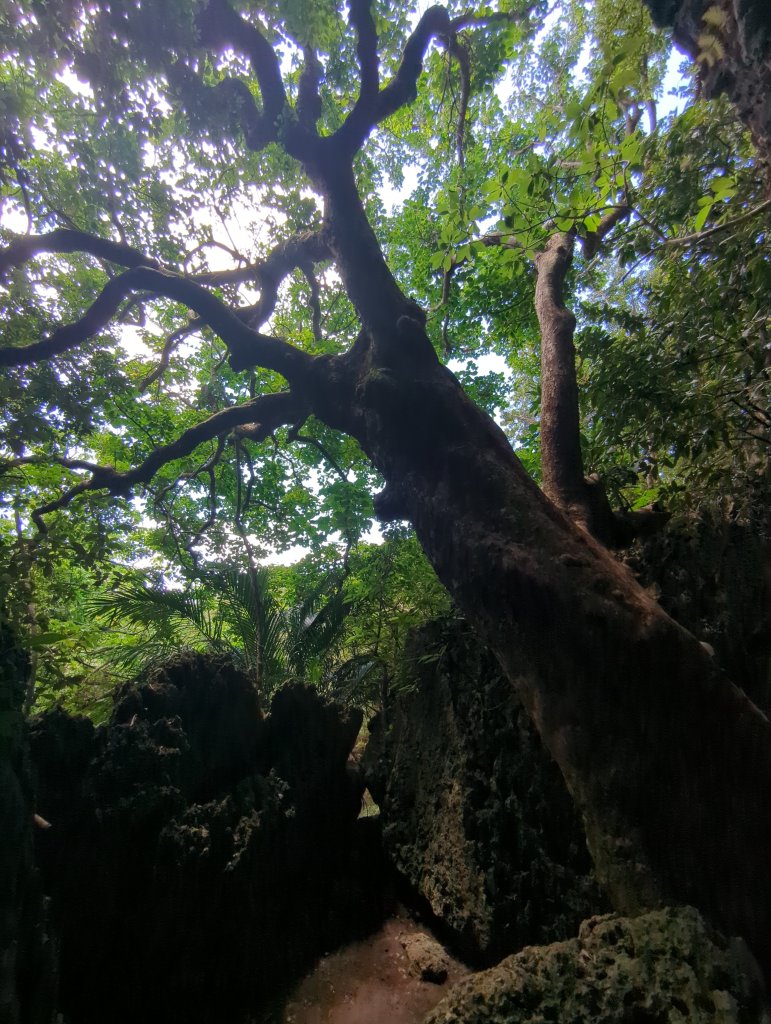 2024.06.09－墾丁國家公園_2523826