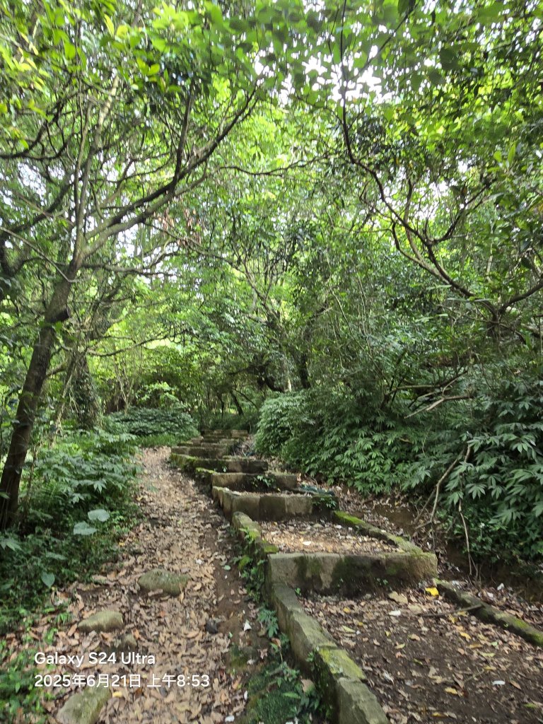 2025-06-21臺北大縱走第二段：二子坪至小油坑_2821037