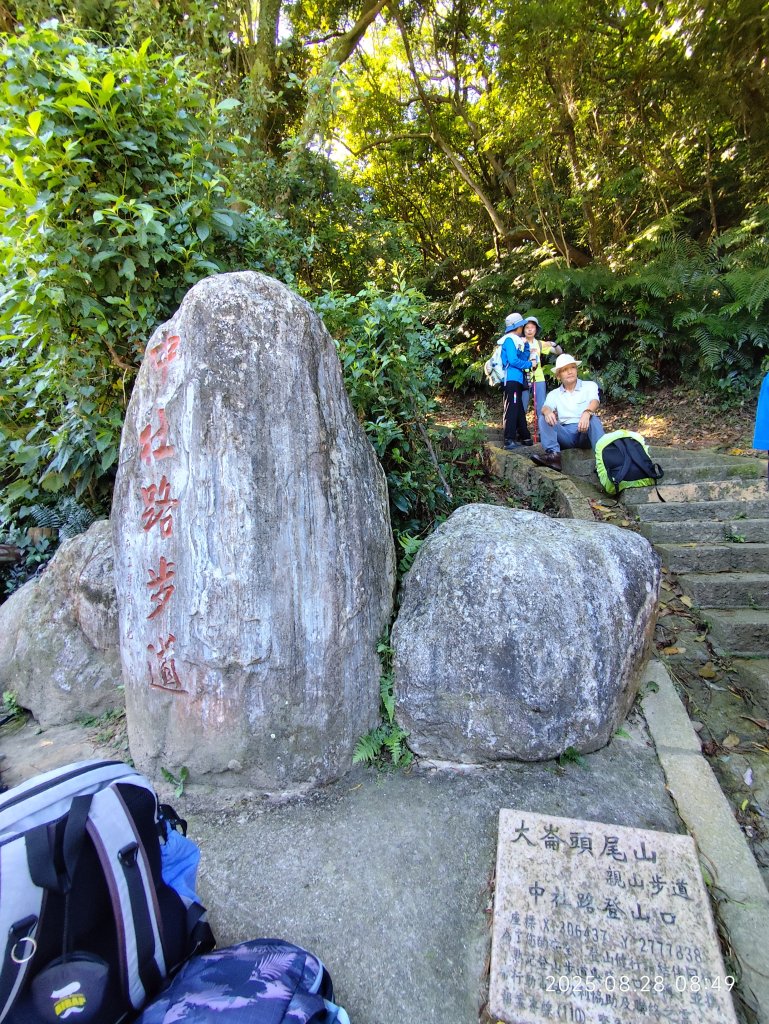 翠山步道、大崙頭尾山親山步道【臺北健走趣】_2874309