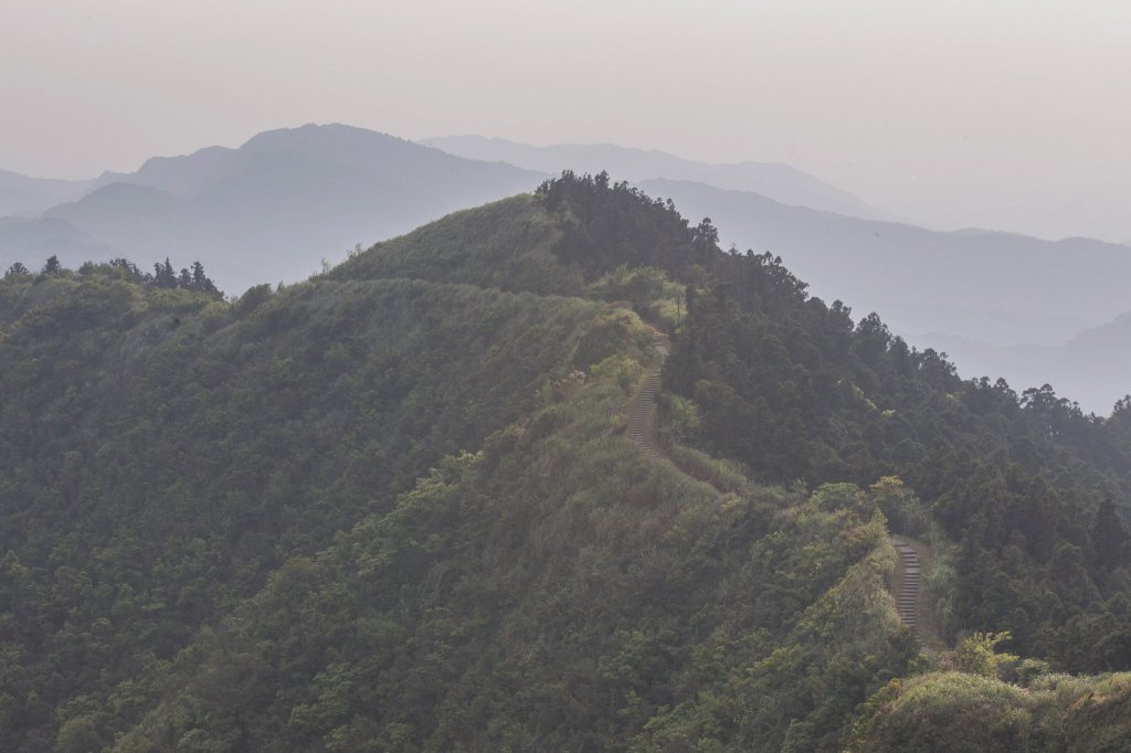 20200411-五分山步道_918760