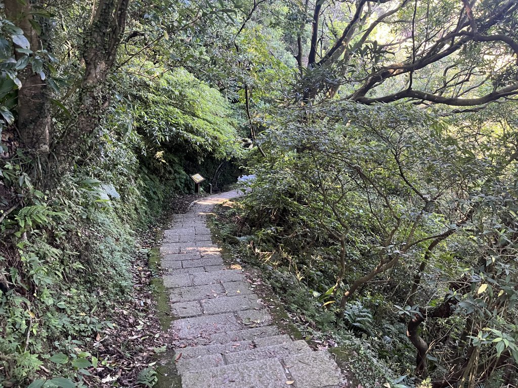 [走遍陽明山]2023_0910_坪頂古圳步道_2279366