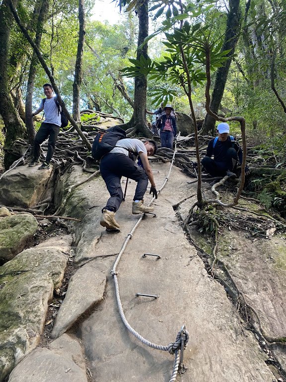 苗栗_大坪出發~杜鵑嶺/加里山_1485833