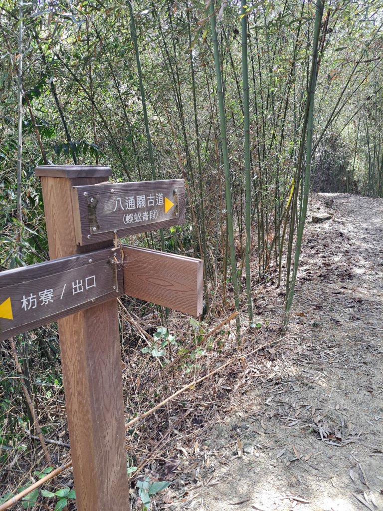 竹山八通關古道社寮段+陳東坑山+溪洲大山ｄ型走20230219_2037416