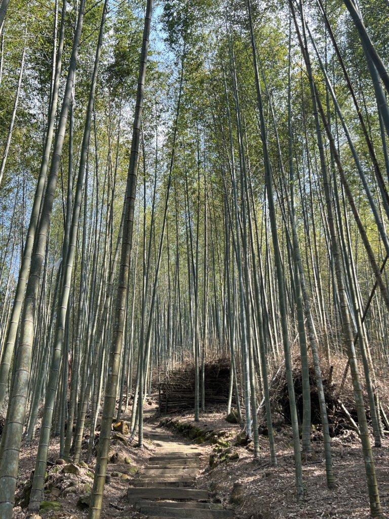 小百岳-石壁山_2742534