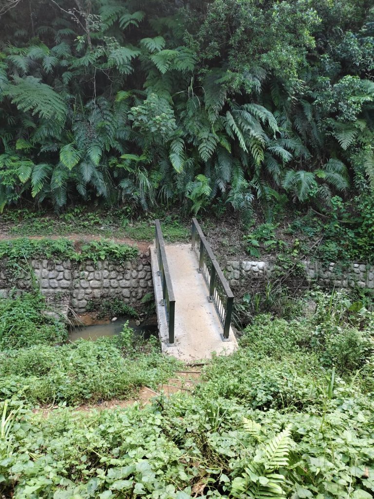 林口頂福巖森林步道_2838117