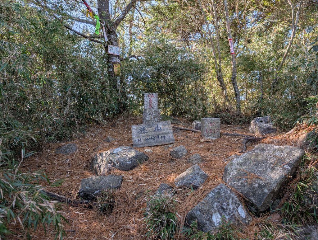 觀霧國家森林遊樂區和包場的榛山三角點封面圖