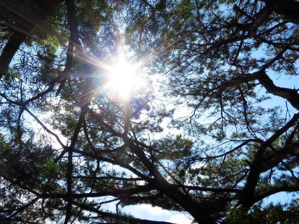 【新竹竹北】鳳崎落日步道_1492631