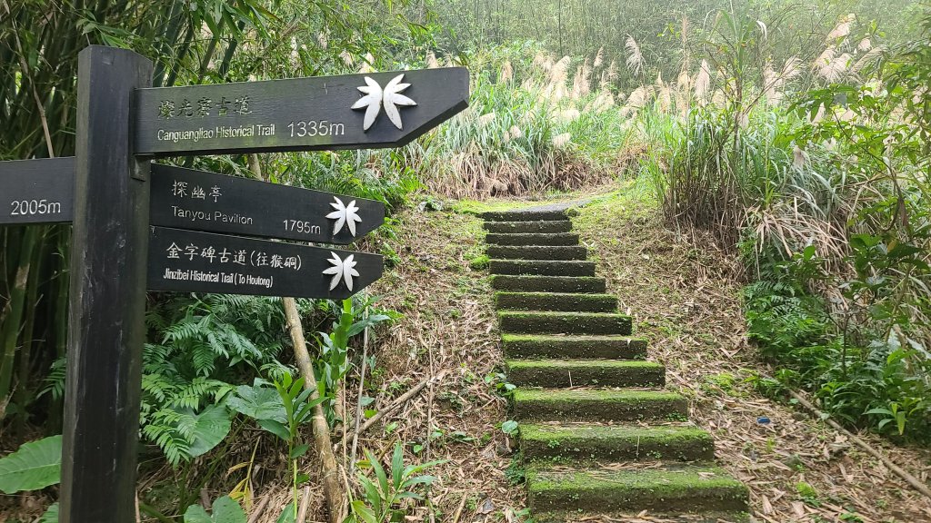 2025-01232淡蘭古道北二段(燦光寮古道到澳底)_2696543