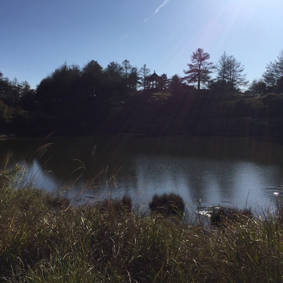 大雪山210林道上烏石坑山_917624