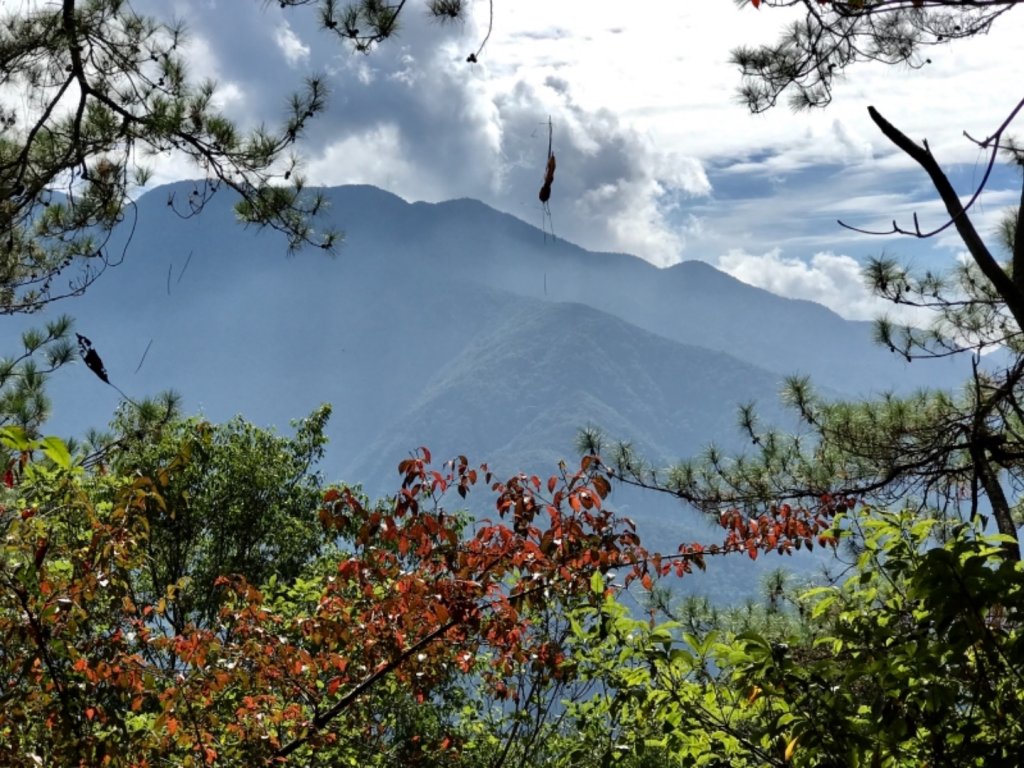 七雄完登波津加_464382