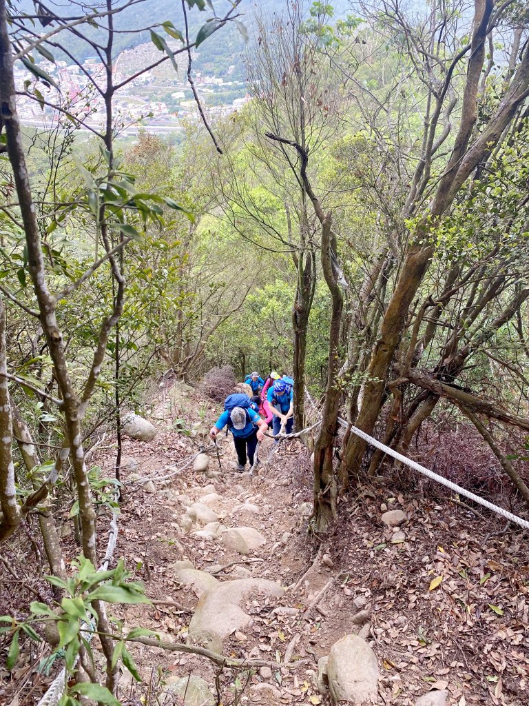 三員縱走(三義車站.三角山.雙峰山.慈惠堂.員屯山至銅鑼車站)  2021/5/1_1369228