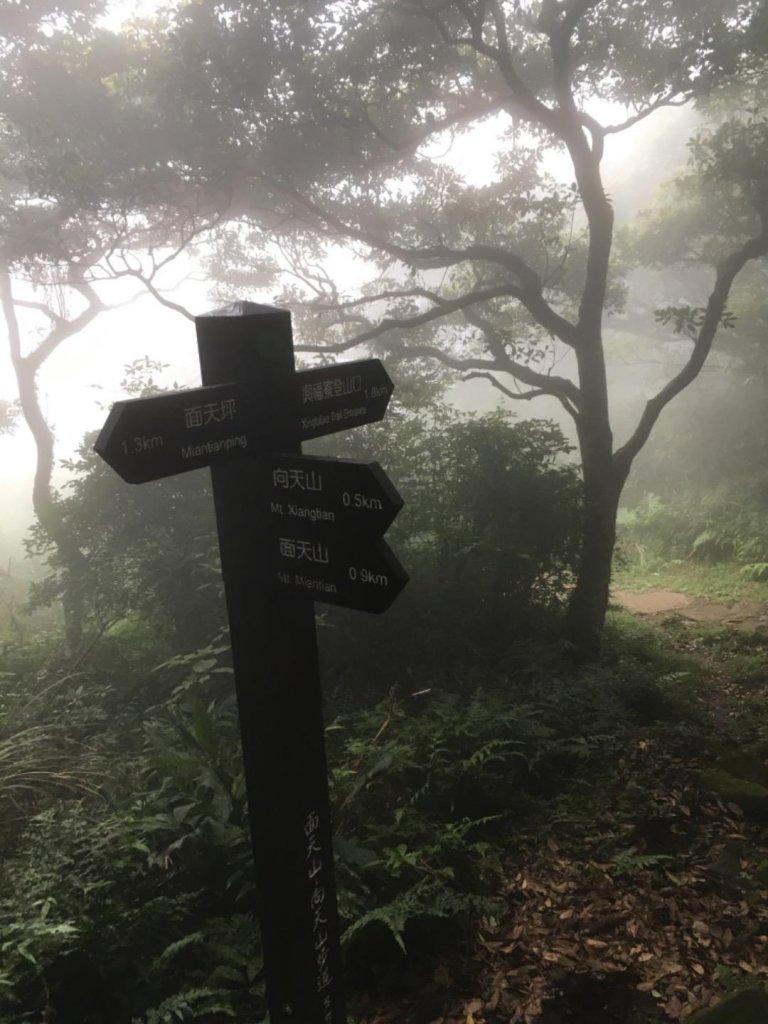 向天池-向天山-面天山_638264