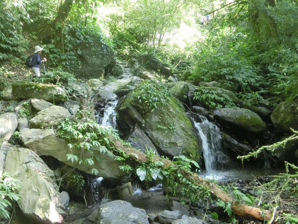 聖母登山步道．三角崙山_384696