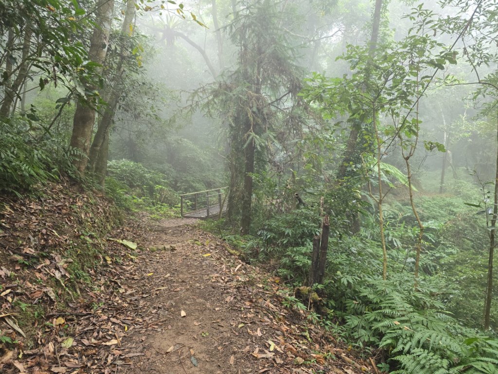 馬那邦山之雲海／雲瀑／楓紅／太陽琉璃光_2668312