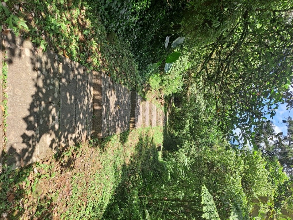 20230911淡蘭古道中段：五分山步道-暖東舊道_2446764