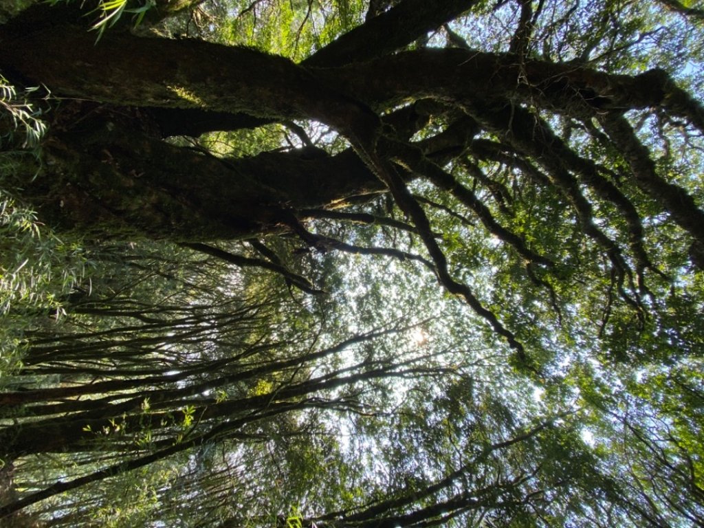 白姑大山_2130217