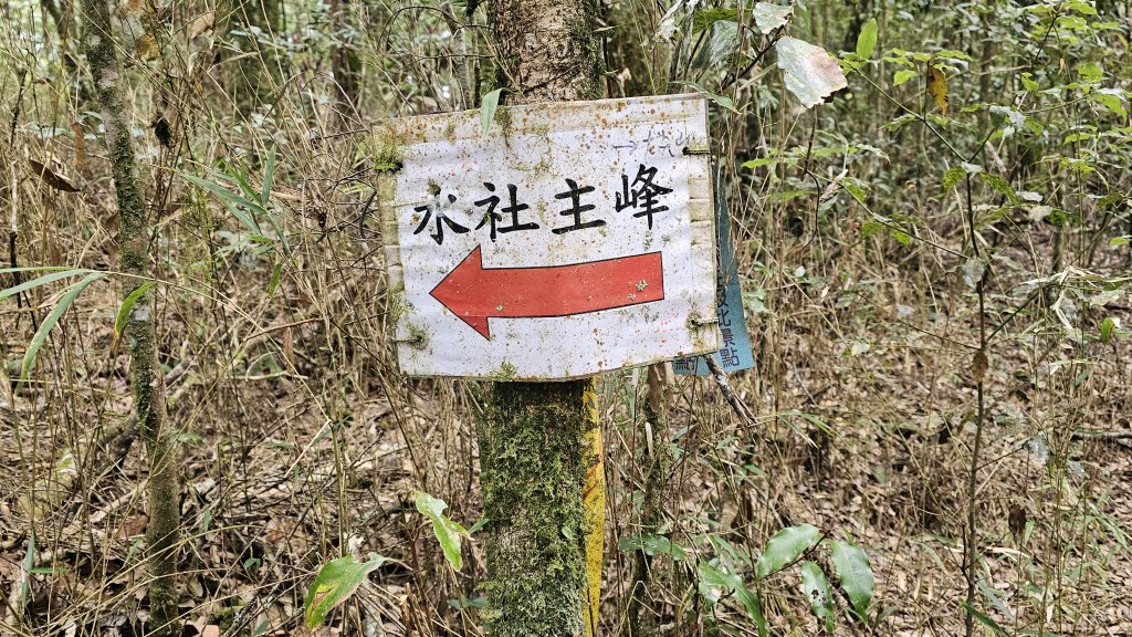 【中級山經典：水社大山、水社主峰】🥾4小時53分的征途，汗水與意志的考驗。_2982571
