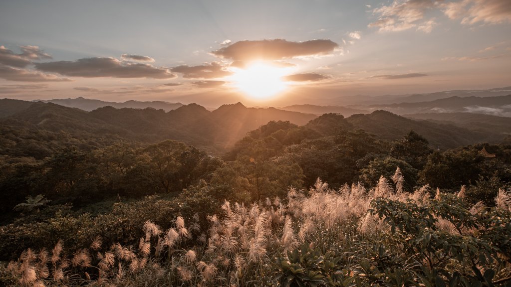 菅芒浪白｜五分山_2356414