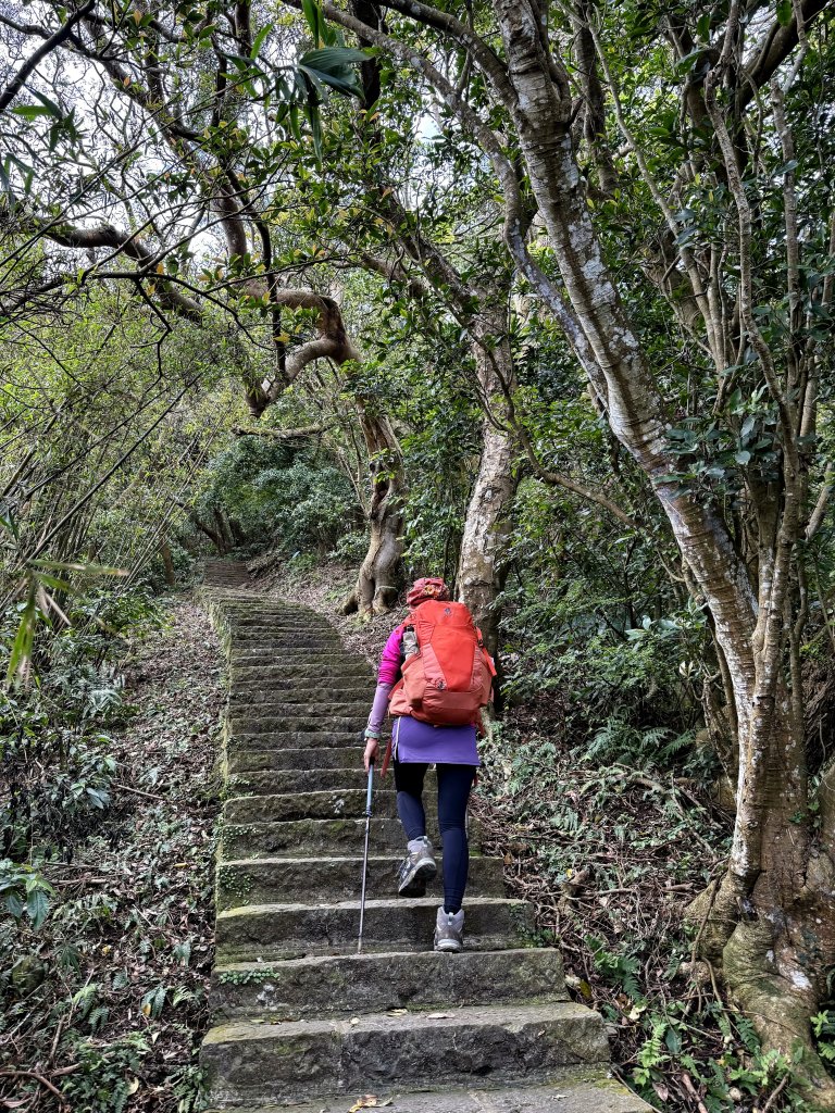 淡水搭渡輪上觀音山+占山O繞 搭公車接渡輪回淡水-20250318_2770632