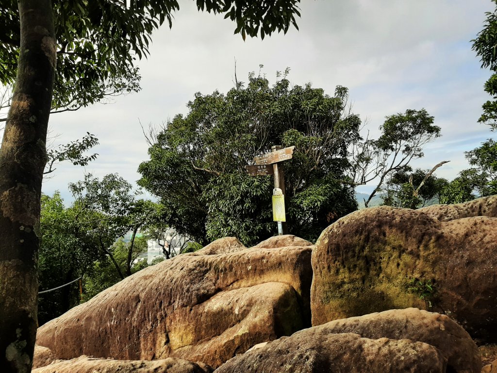 環台步道馬拉松之金面山、軍鑑岩_1920036