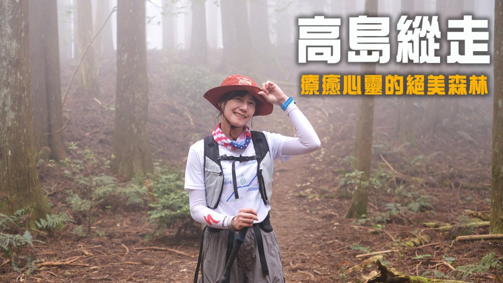 【高島縱走】走進六星級柳杉森林，一日高台山與島田三山封面圖