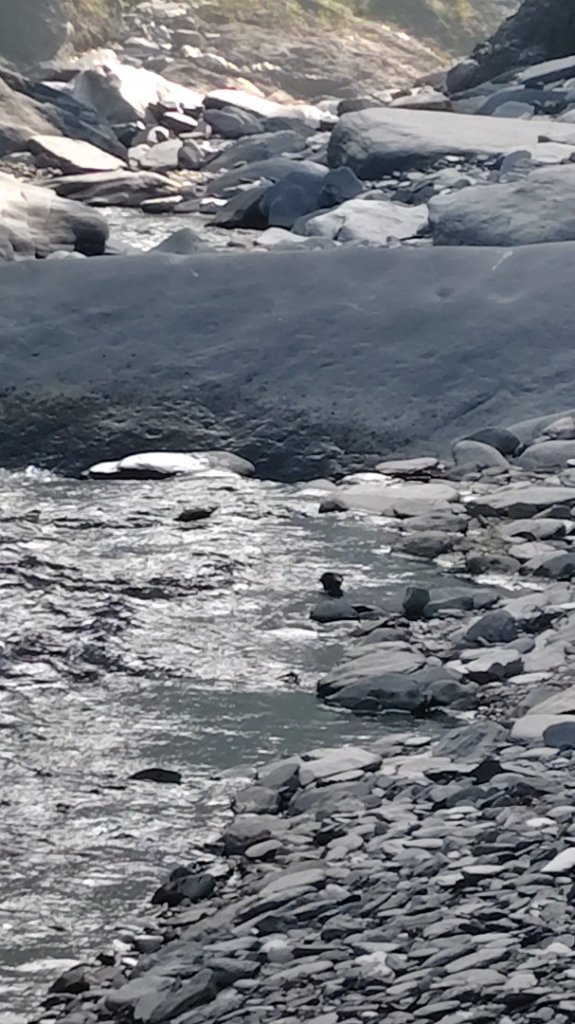 多納六秀 足母山 鬼斧神工一線天 德德山_2953095