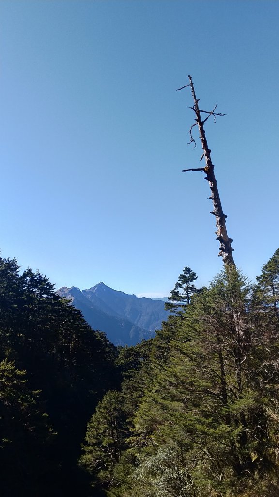 20200126~27 奇萊南華_818127