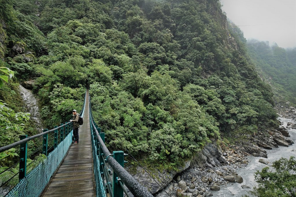 錐麓古道 原路折返2018.10.9_432709