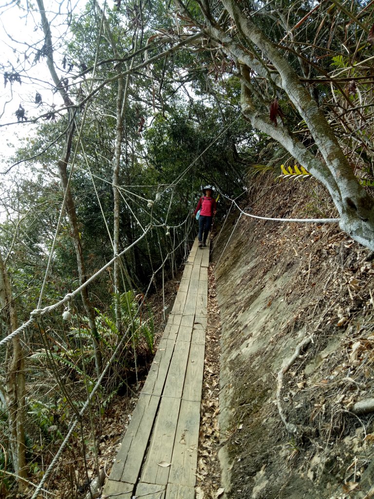 楠西梅嶺竹子尖山、一線天獵鷹尖O型_1867773