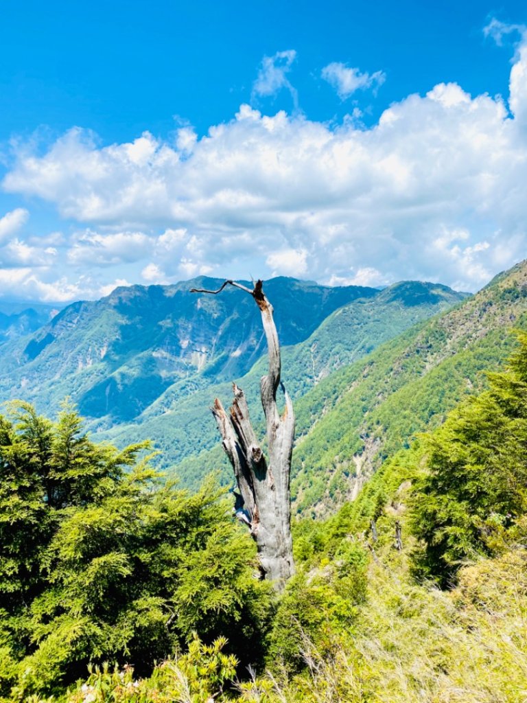 玉山群峰前五峰後四峰_2609978