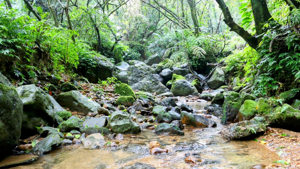 石笋古道,焿子寮古道,松子嶺古道_2798335