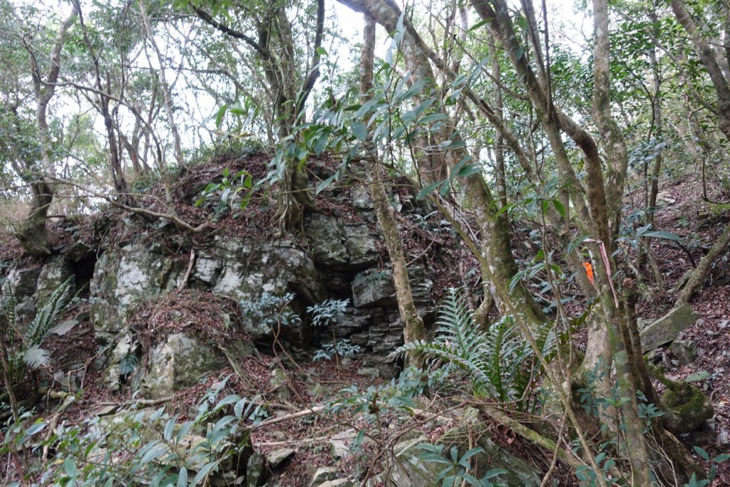 小鬼湖林道上亞泥迪山_1276870