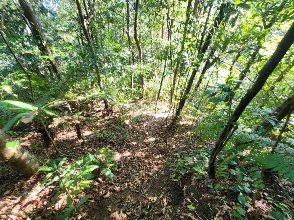 20251214石牛山柑坪山新柑坪山牛背岩_2972734