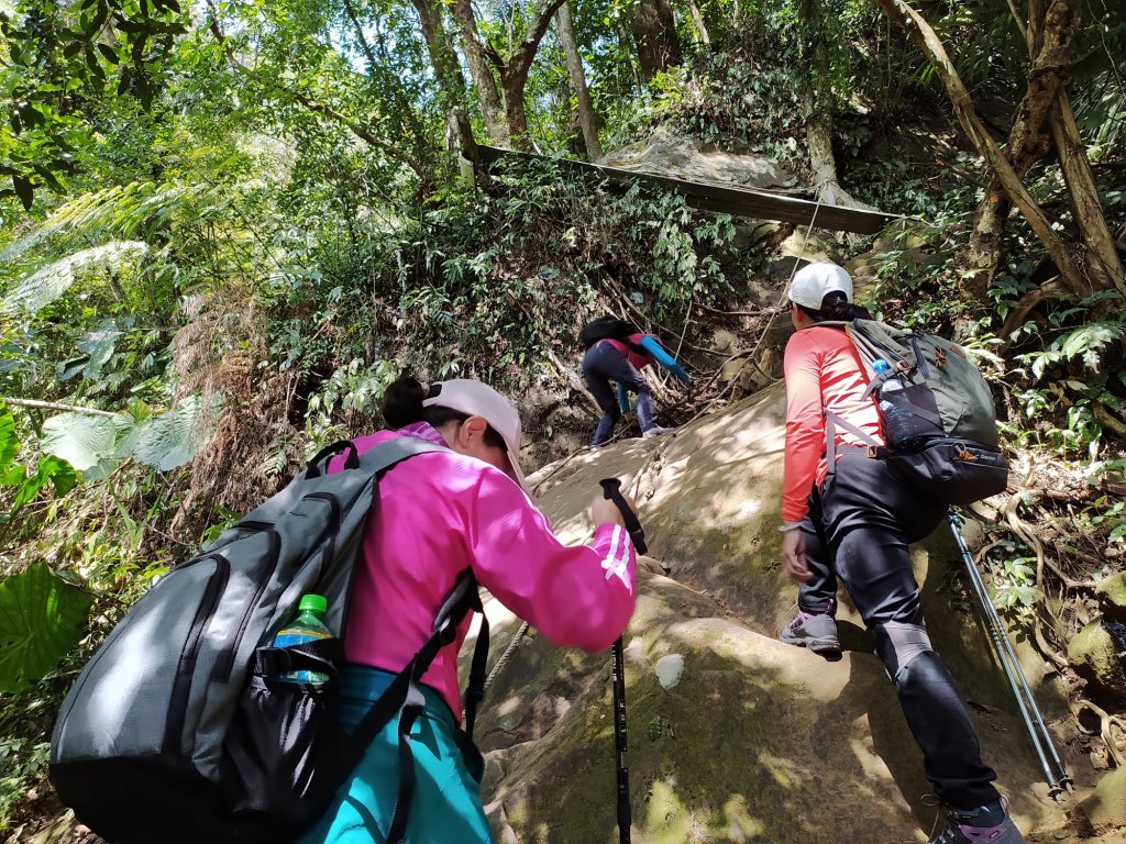 關西 石牛山  充滿樂趣的登山步道_1278369